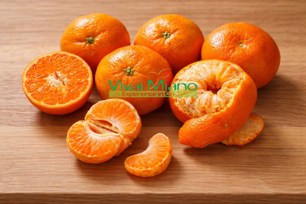 Mandarina Satsuma Miyagawa (tegla – 20)