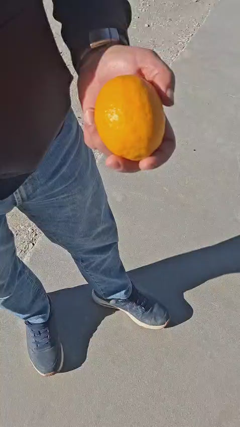 Prenesi videozapis: 